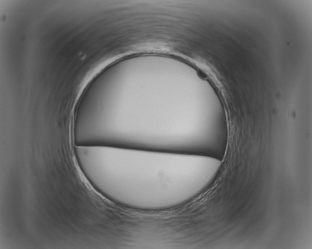 X0000087581295200704271035