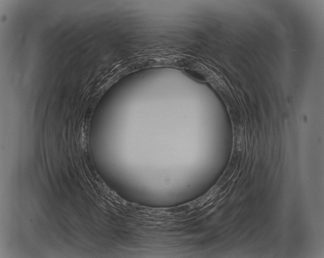 X0000087581298200704271035