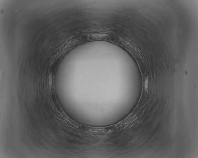 X0000087581299200704271035