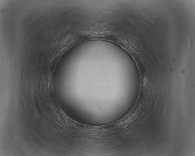 X0000087581300200704271035
