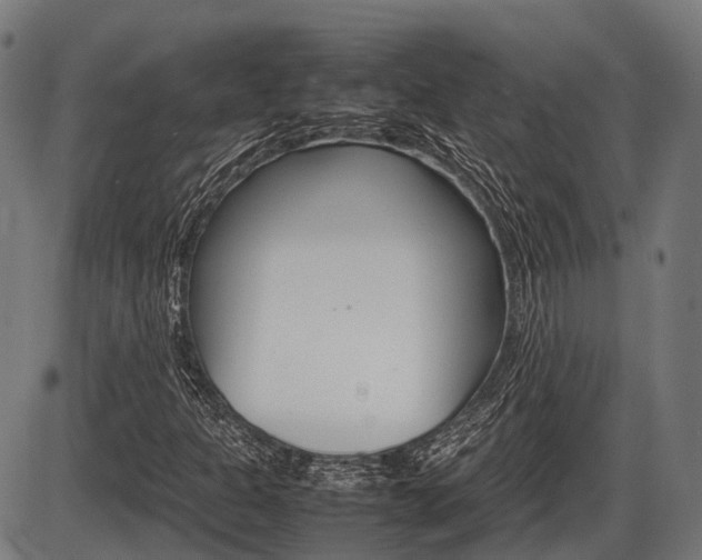 X0000087581301200704271035