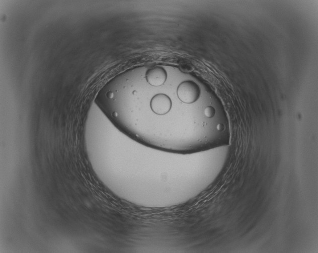 X0000087581302200704271035