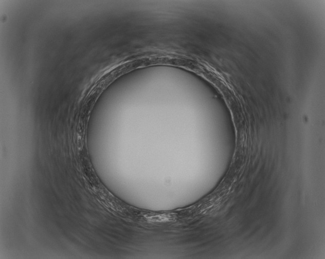 X0000087581303200704271035