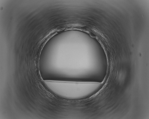 X0000087581305200704271035