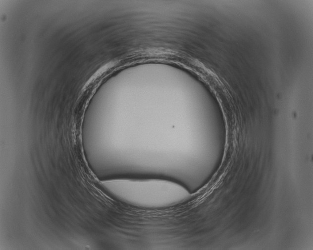 X0000087581306200704271035