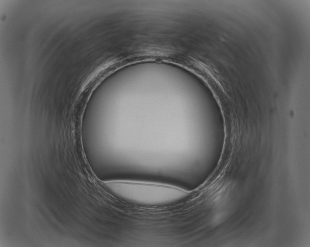 X0000087581307200704271035