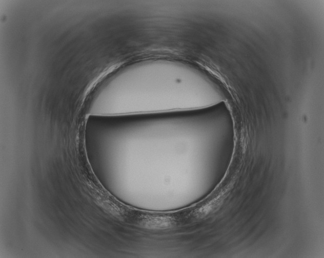 X0000087581309200704271035