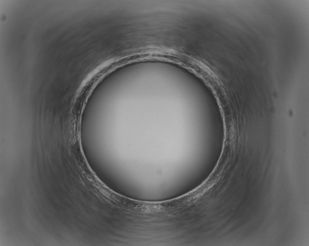 X0000087581310200704271035