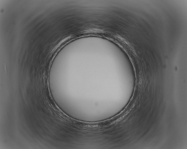 X0000087581313200704271035
