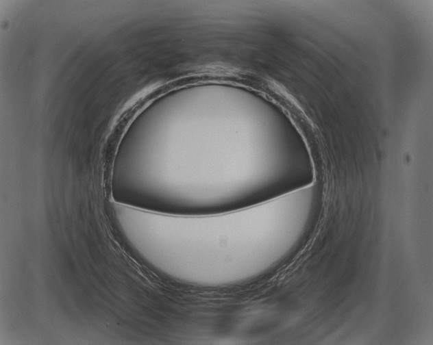 X0000087581315200704271035