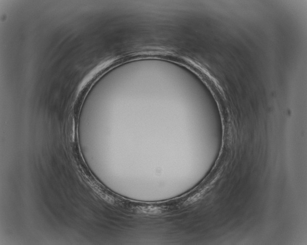 X0000087581317200704271035