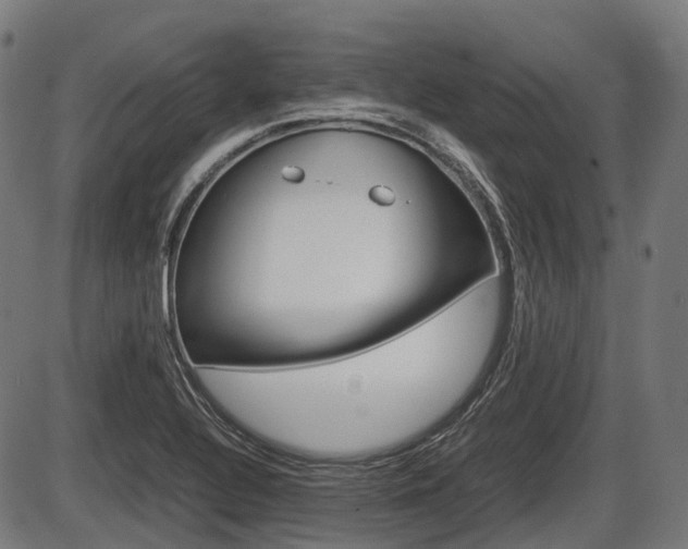 X0000087581320200704271035