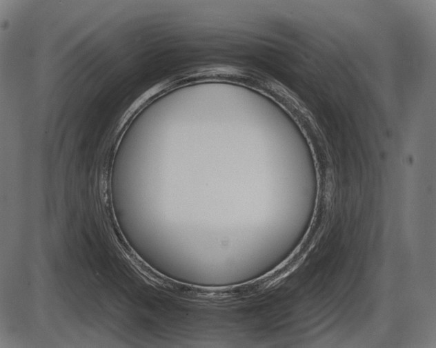X0000087581321200704271035