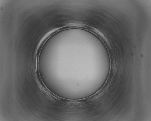 X0000087581323200704271035