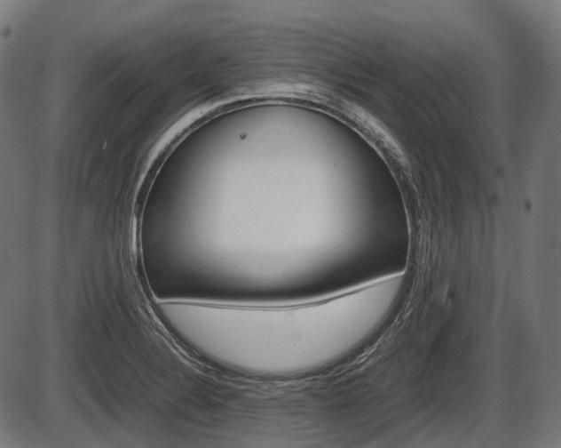 X0000087581324200704271035