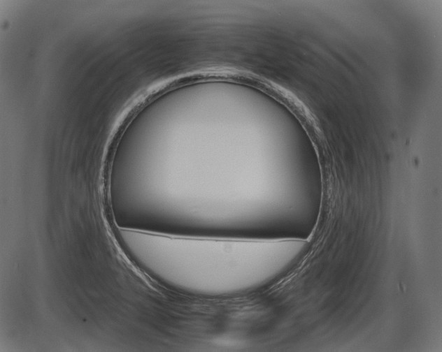 X0000087581327200704271035