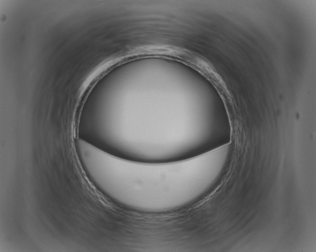 X0000087581328200704271035