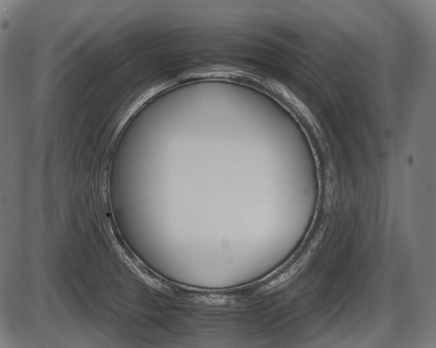 X0000087581329200704271035