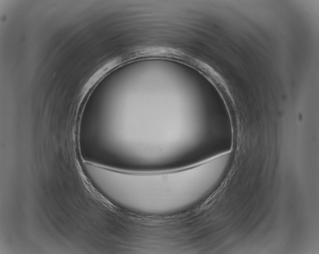 X0000087581330200704271035