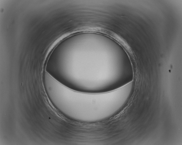 X0000087581332200704271035