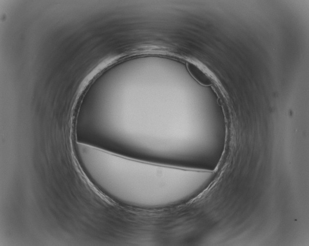 X0000087581333200704271035