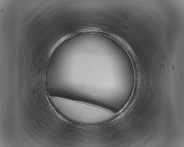 X0000087581337200704271035