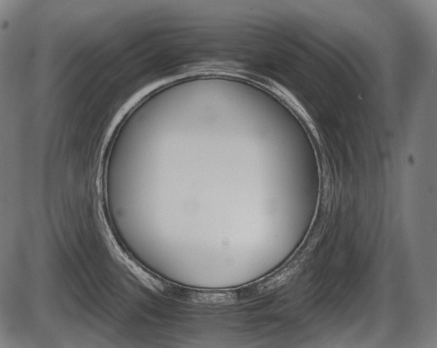 X0000087581339200704271035