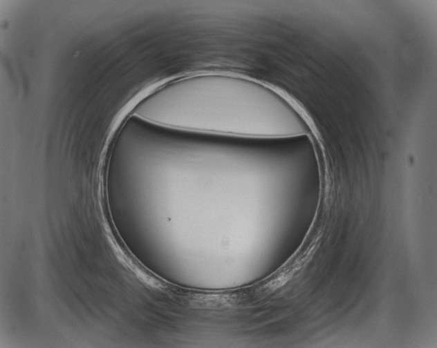 X0000087581341200704271035