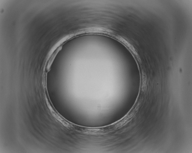 X0000087581342200704271035