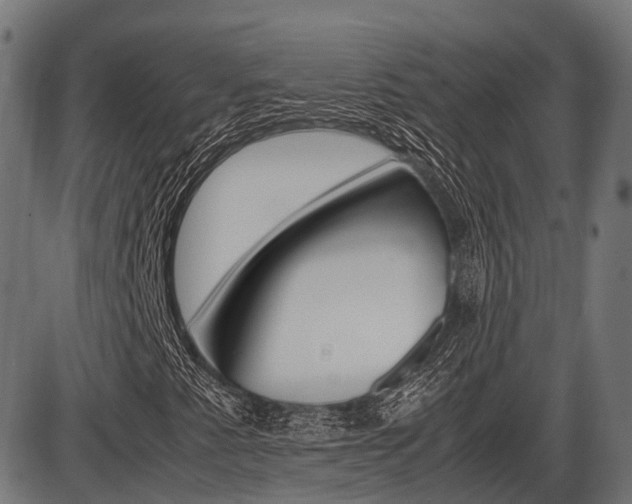 X0000087581345200704271035