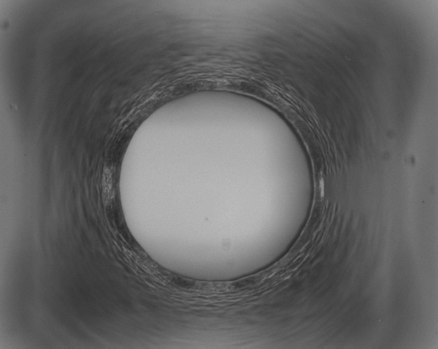 X0000087581347200704271035