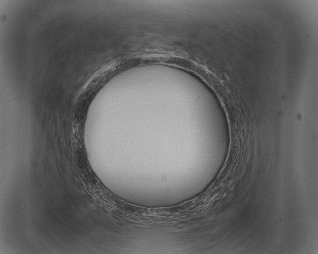 X0000087581351200704271035