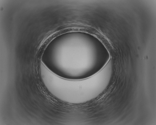 X0000087581352200704271035