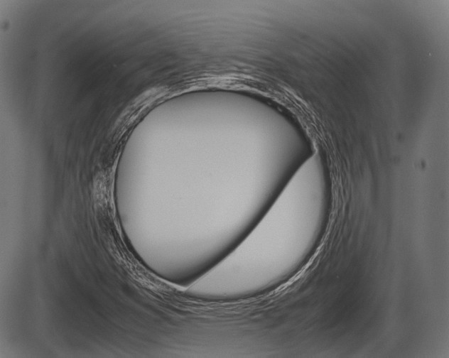 X0000087581353200704271035