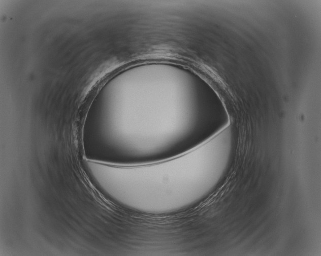 X0000087581356200704271034