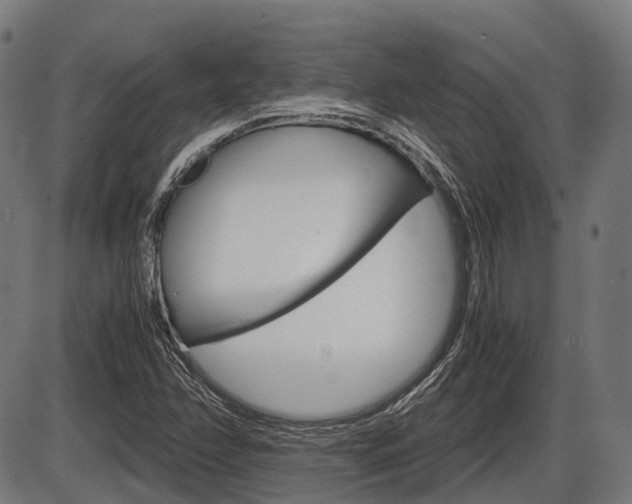 X0000087581358200704271034