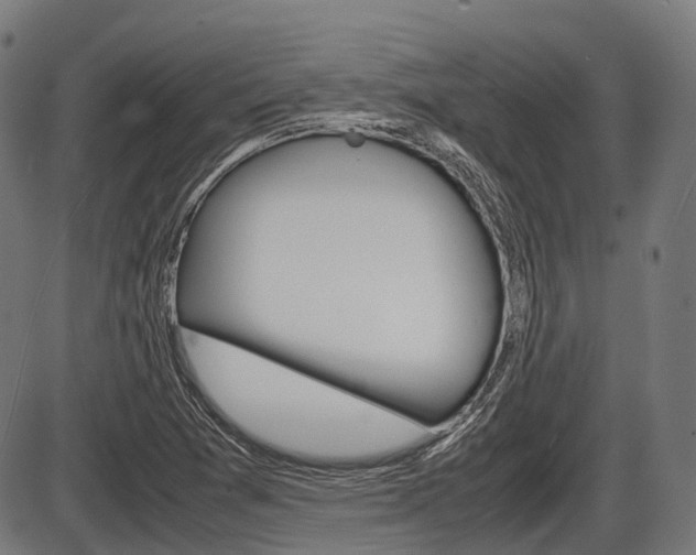 X0000087581361200704271034