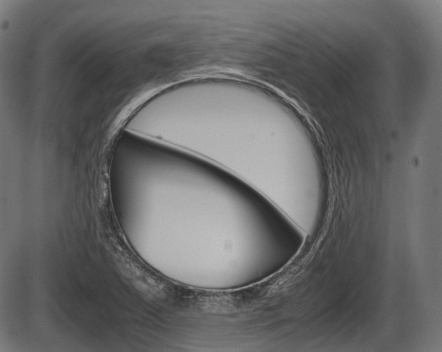 X0000087581363200704271034