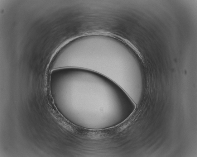 X0000087581364200704271034