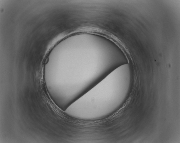 X0000087581366200704271034