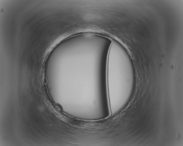 X0000087581367200704271034