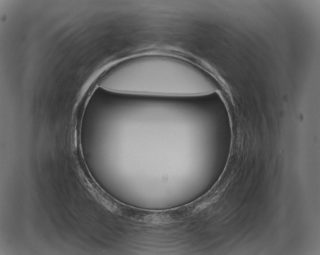 X0000087581368200704271034