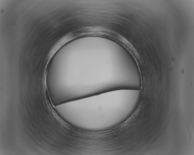 X0000087581370200704271034