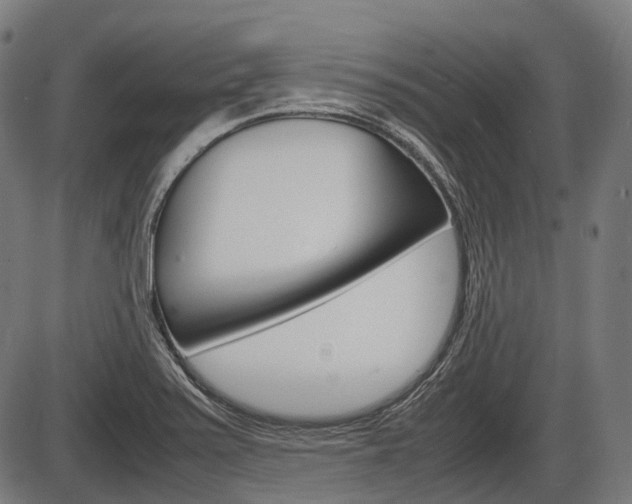X0000087581371200704271034