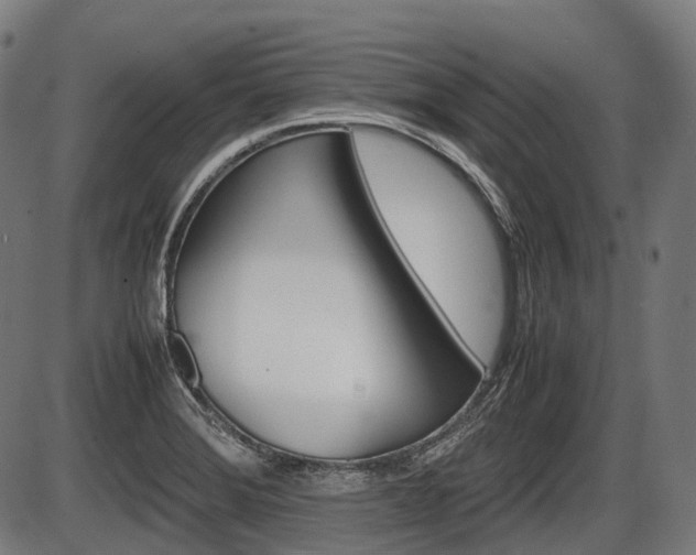X0000087581372200704271034