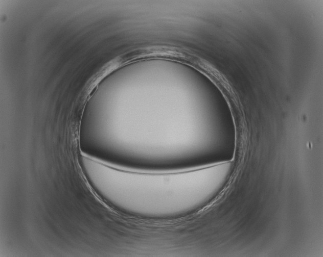 X0000087581377200704271034