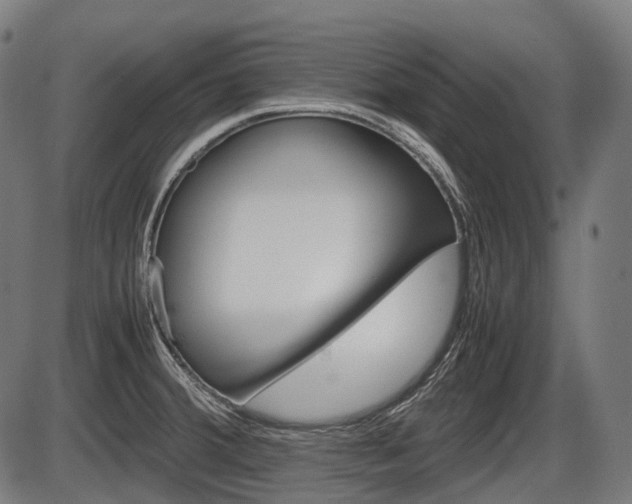 X0000087581380200704271034