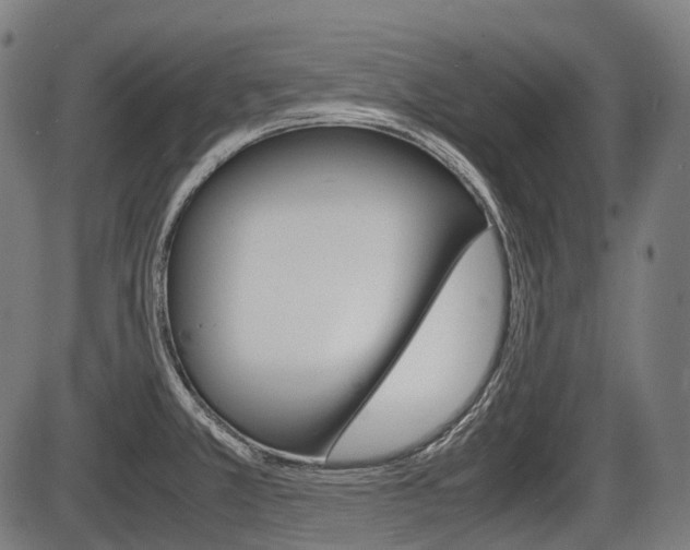 X0000087581381200704271034