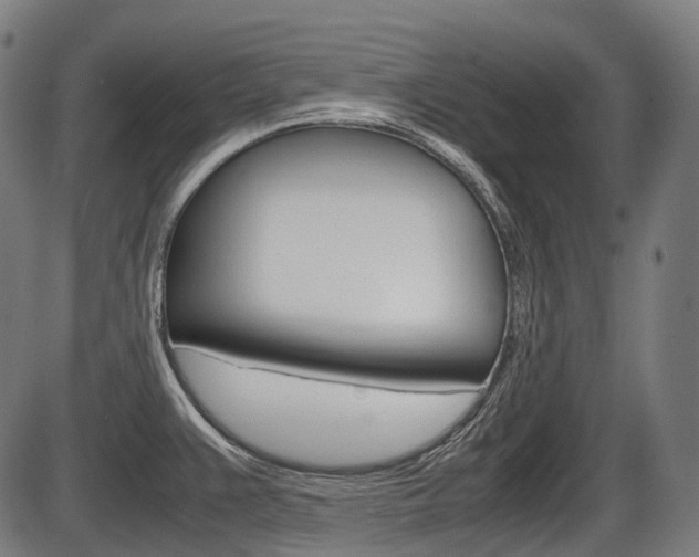 X0000087581383200704271034