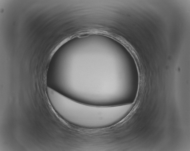 X0000087581385200704271034